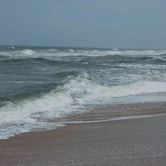 Meet your Posher, Debra - Picture 1 of 1